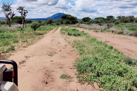 2-Days Lake manyara and Tarangire National Parks