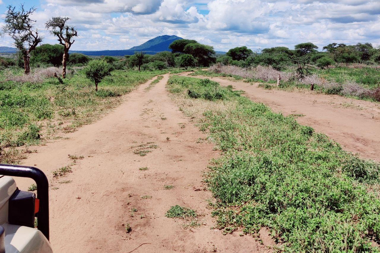 2-Days Lake manyara and Tarangire National Parks