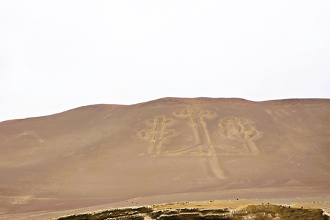 From Lima: Ballestas Islands & Huacachina Dune Buggy Tour Paracas & Huacachina: Hotel Pickup & Bilingual Guide