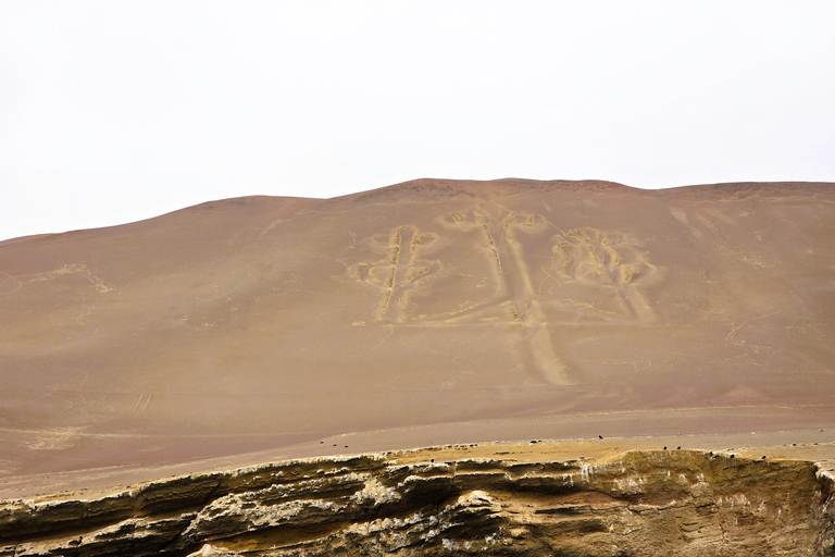 From Lima: Ballestas Islands & Huacachina Dune Buggy Tour Paracas & Huacachina: Hotel Pickup & Bilingual Guide