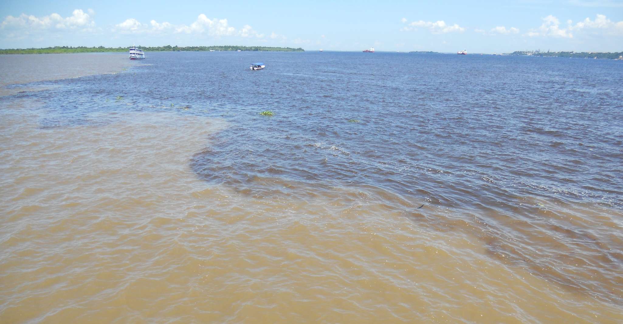 Manaus, Multi-Day Amazon Trip at Tapiri Floating Lodge - Housity