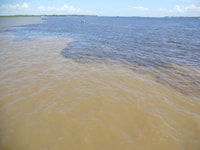 Manaus, voyage de plusieurs jours en Amazonie à Tapiri Floating Lodge - Hizvo