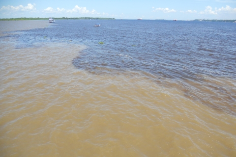 Manaus: wiele dni w Amazonii z motorówką, Tapiri LodgeWycieczka na 4 dni i 3 noce