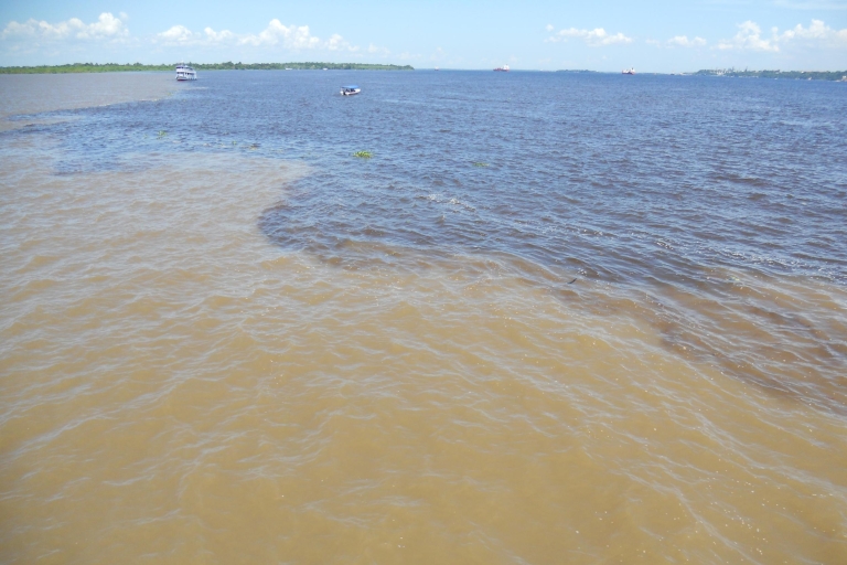 Manaus: meerdaagse Amazonereis bij Tapiri Lodge met speedbootTour van 4 dagen en 3 nachten