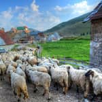 Da Sarajevo: Escursione di una giornata intera al villaggio di Lukomir