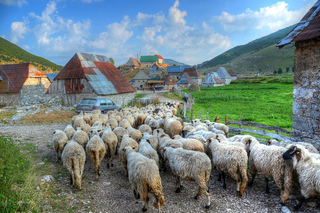 Outdoor & Sport Activities in Sarajevo