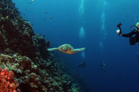 Kicker Rock: Scuba Diving Sightseeing Tour with 2 Dives and Full Gear Kicker Rock: Dive tour with 2 dives and full gear