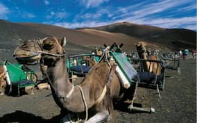 - Canarie.it