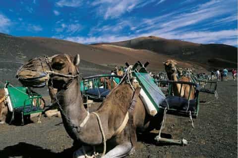 Lanzarote: Timanfaya South Tour for Cruise Passengers