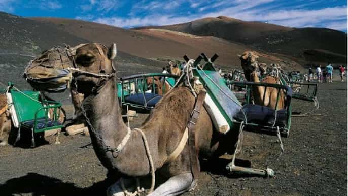 lanzarote tour sur de timanfaya para pasajeros de crucero