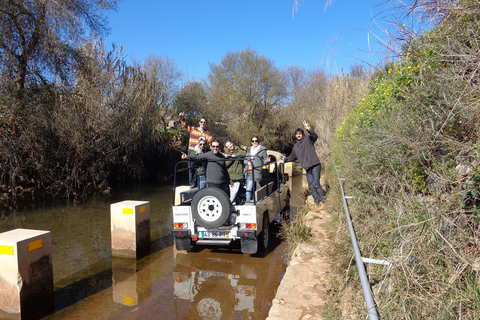 Från Albufeira: Halv dags jeepsafari runt Algarve