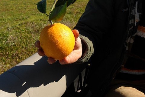 Tour safari in jeep di un&#039;intera giornata in Algarve con pranzo