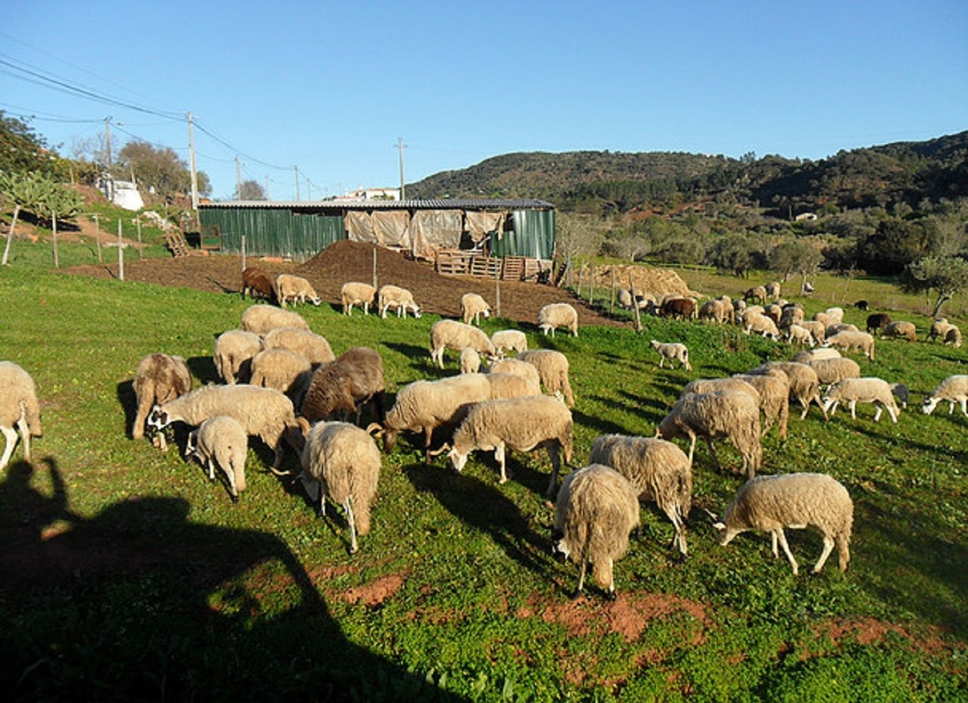 Algarve heldagstur med jeepsafari og frokost