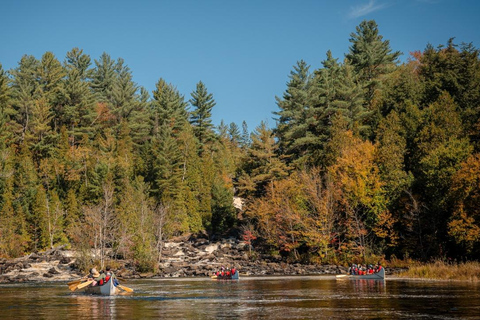 Toronto: Algonquin Park and Ragged Falls Day Trip