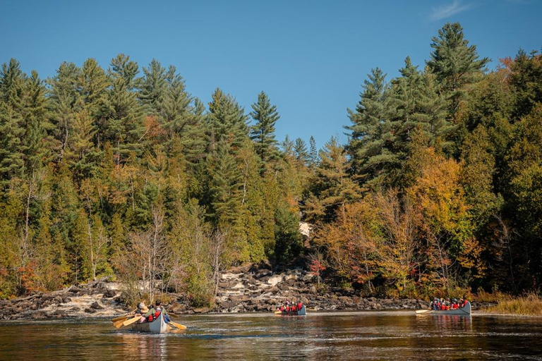 Toronto: Algonquin Park and Ragged Falls Day Trip