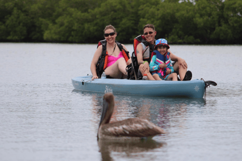 From Naples, FL: Marco Island Mangroves Kayak or Paddle Tour Easy Ride Pedal Kayak Tour