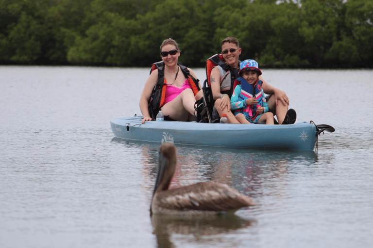 From Naples, FL: Marco Island Mangroves Kayak or Paddle Tour Easy Ride Pedal Kayak Tour