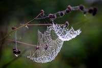 From Pu Luong , One Day Trekking 18km Guide Tour with Lunch - Housity