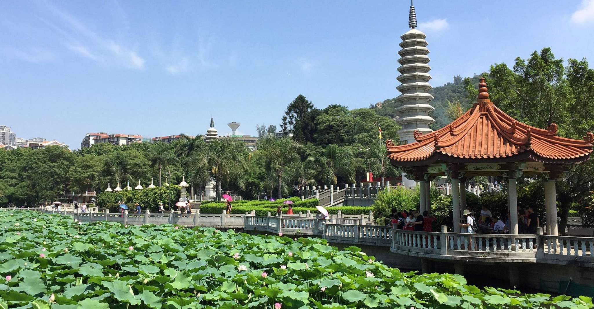 Xiamen Highlights Sightseeing Tour - Housity