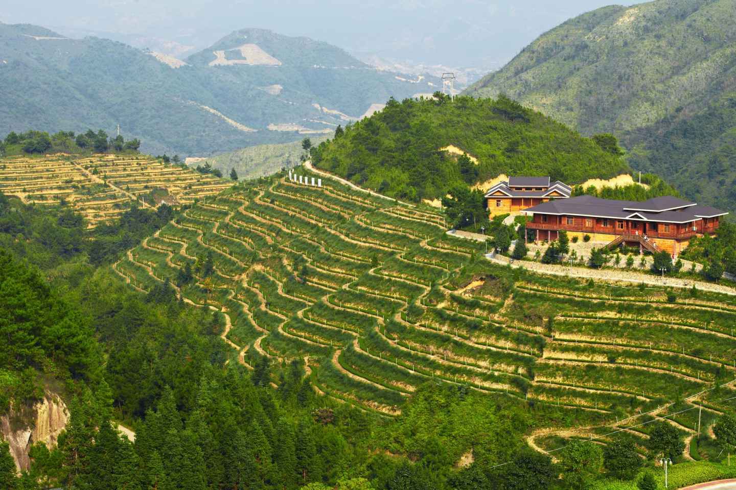 Anxi Tea Garden und Hong'en Rock von Xiamen