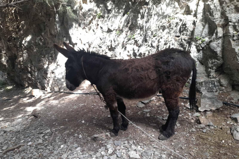 From Georgioupoli: Easy Hiking Day-Trip to Imbros Gorge