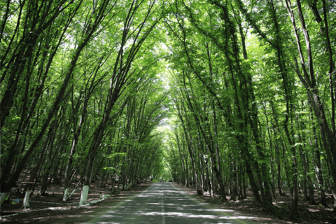 从巴库出发：古巴与赫纳利克全天导游游从巴库出发：古巴和赫纳利克全天导游游