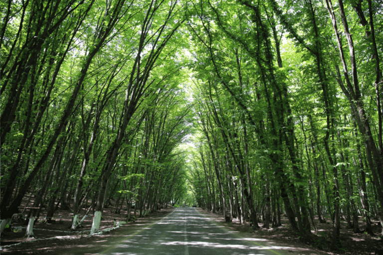 从巴库出发：古巴与赫纳利克全天导游游从巴库出发：古巴和赫纳利克全天导游游