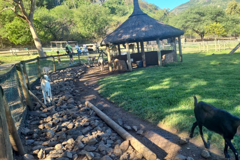 Ilhas Maurício: Parques naturais de Casela e praia de Flic en Flac