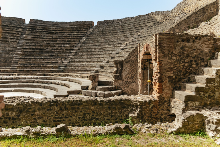 Vanuit Rome: Dagtrip Pompeii en de Vesuviusberg met lunchPompeii & Vesuvius met kegelwandeling