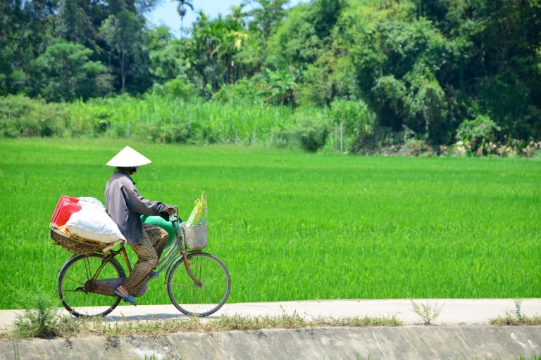 Excursión de medio día en bicicleta de Hoi An a Mỹ Sơn