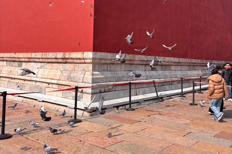 Beijing: 3-hour Forbidden City story Tour with Entry Ticket