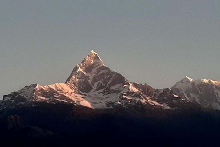 Pokhara : Trek de 3 jours à Astam, Dhampus et Australian CampPokhara : 3 jours de service