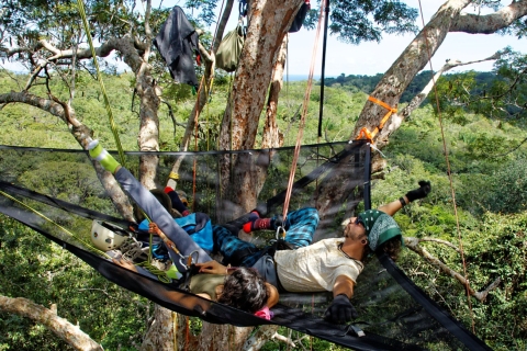 Activité d'escalade dans les arbres de 3 heures dans la jungle Amazon