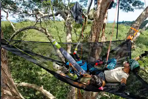 Amazon Jungle 3-Hour Tree Climbing Activity
