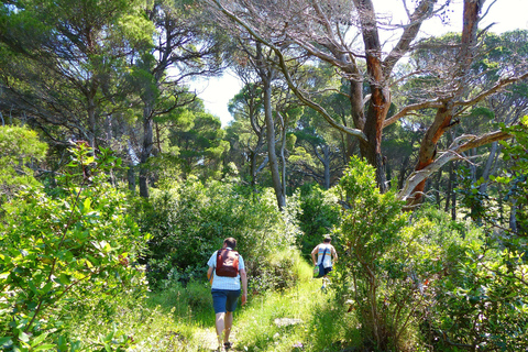 From Dubrovnik: Hiking & Swimming on Koločep Island Day Trip