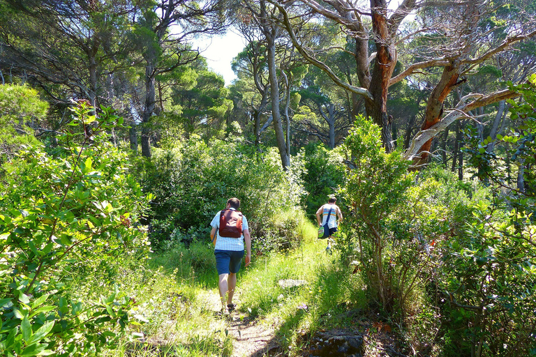 From Dubrovnik: Hiking & Swimming on Koločep Island Day Trip