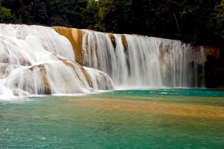 Desde Palenque: tour de las cascadas de Misol-Ha y Agua Azul