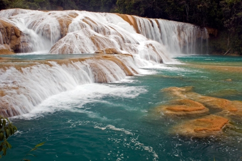 Desde Palenque: tour de las cascadas de Misol-Ha y Agua Azul