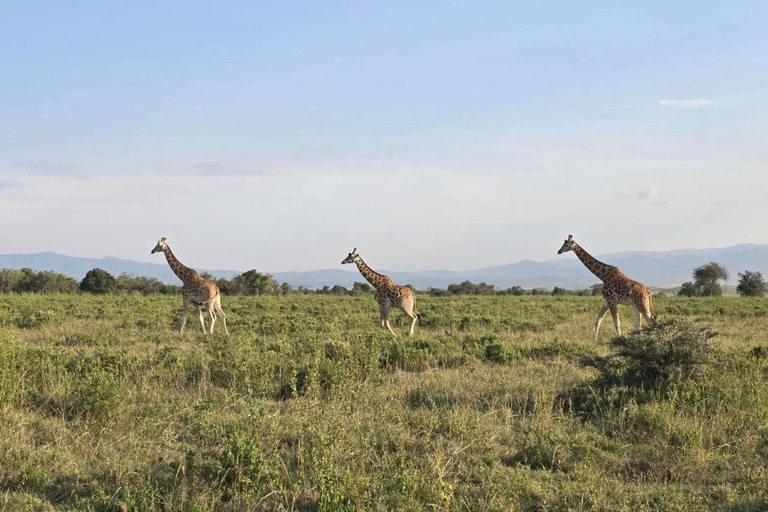 Naivasha: Bike ride through nature,with Optional Boat ride