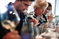 Santiago, Concha Y Toro Winery 4 - Hour Tour & Sommelier Class - Housity