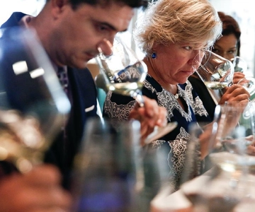 Santiago: Concha y Toro Winery 4–Hour Tour & Sommelier Class