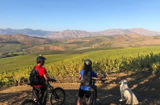 Camporeale: Geführte E-Bike-Tour und Picknick im Weinberg