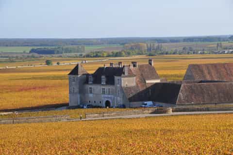 De Dijon: dégustation de vins sur les vignobles de la côte de Nuits