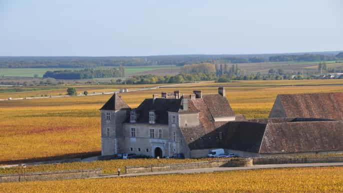 from dijon côte de nuits vineyards wine tasting tour