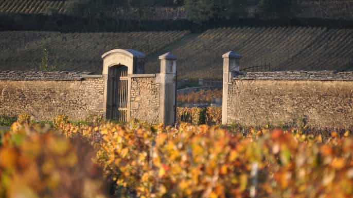 dijon le meilleur de la bourgogne visite privée w / 6 grands crus