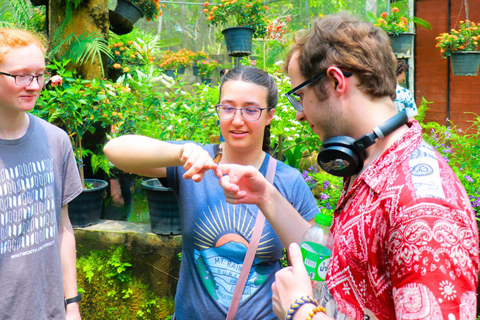 Chiang Mai: Queen Sirikit Botanic Garden Entry Ticket