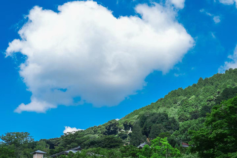 From Osaka: Arashiyama, Fushimi Inari & Katsuo-ji Day Tour