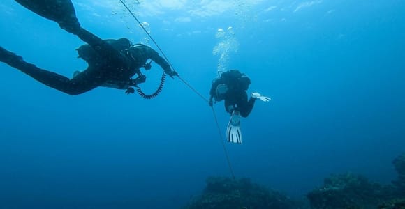 Sesimbra: Private Guided Scuba Diving Tour 2:1