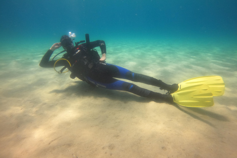 اكتشف الغوص الترفيهي.