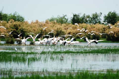 From Bucharest: 2-Day Danube Delta Wonders Small Group Tour
